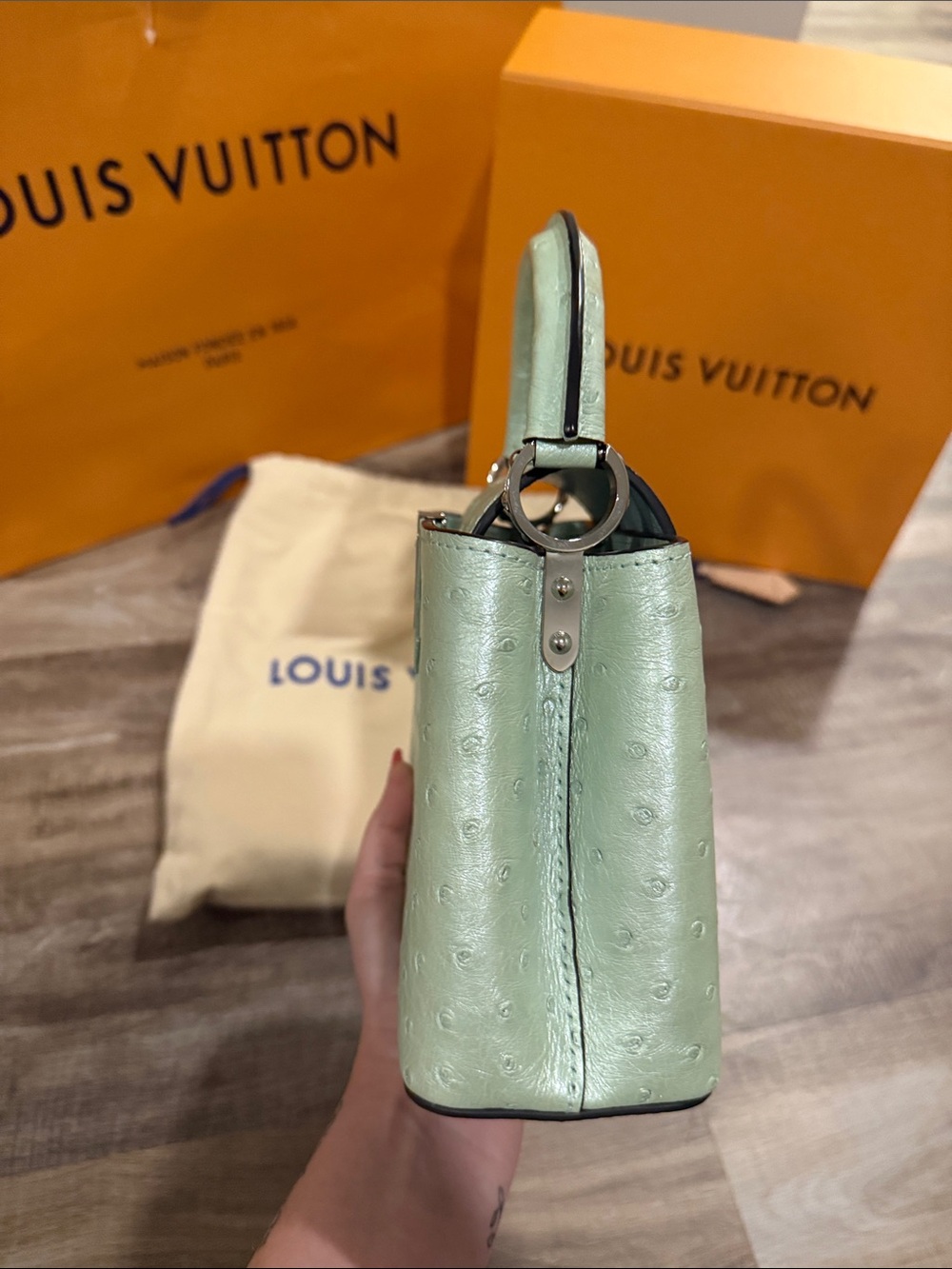 Louis Vuitton Capucines Mini Bag Exotic Ostrich in Mint Green - Picture 4 of 15